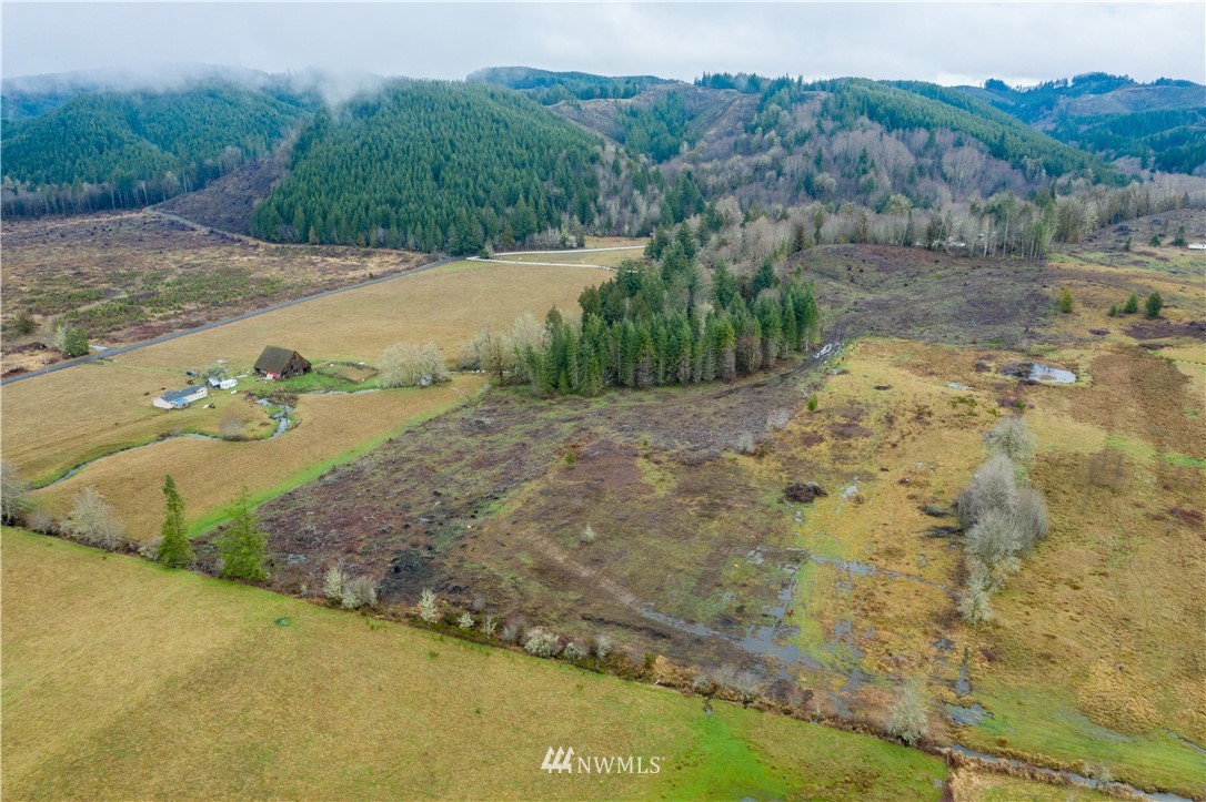 168 Katula Road Chehalis, WA 98532 - Photo 15 of 40 a view of a dry yard with mountain