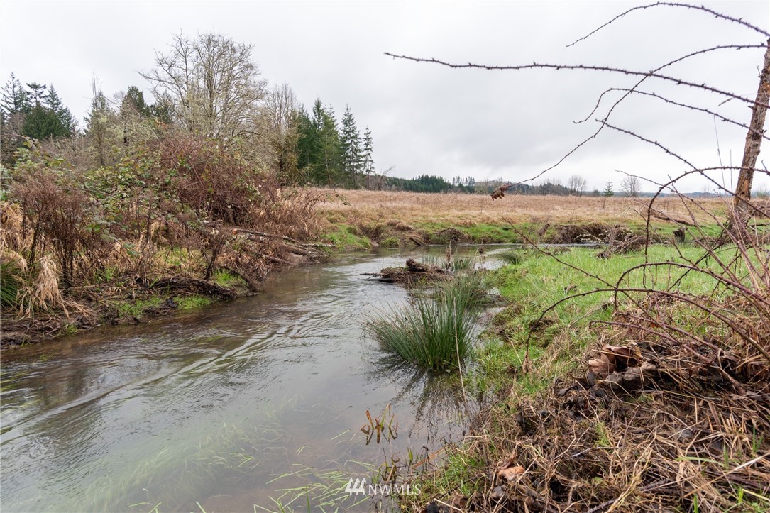 168 Katula Road Chehalis, WA 98532 - Photo 21 of 40 a view of a lake with a mountain in the background