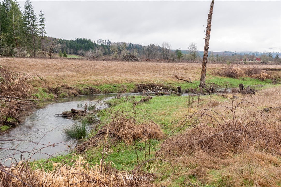 168 Katula Road Chehalis, WA 98532 - Photo 22 of 40 a view of a lake with a mountain in the background