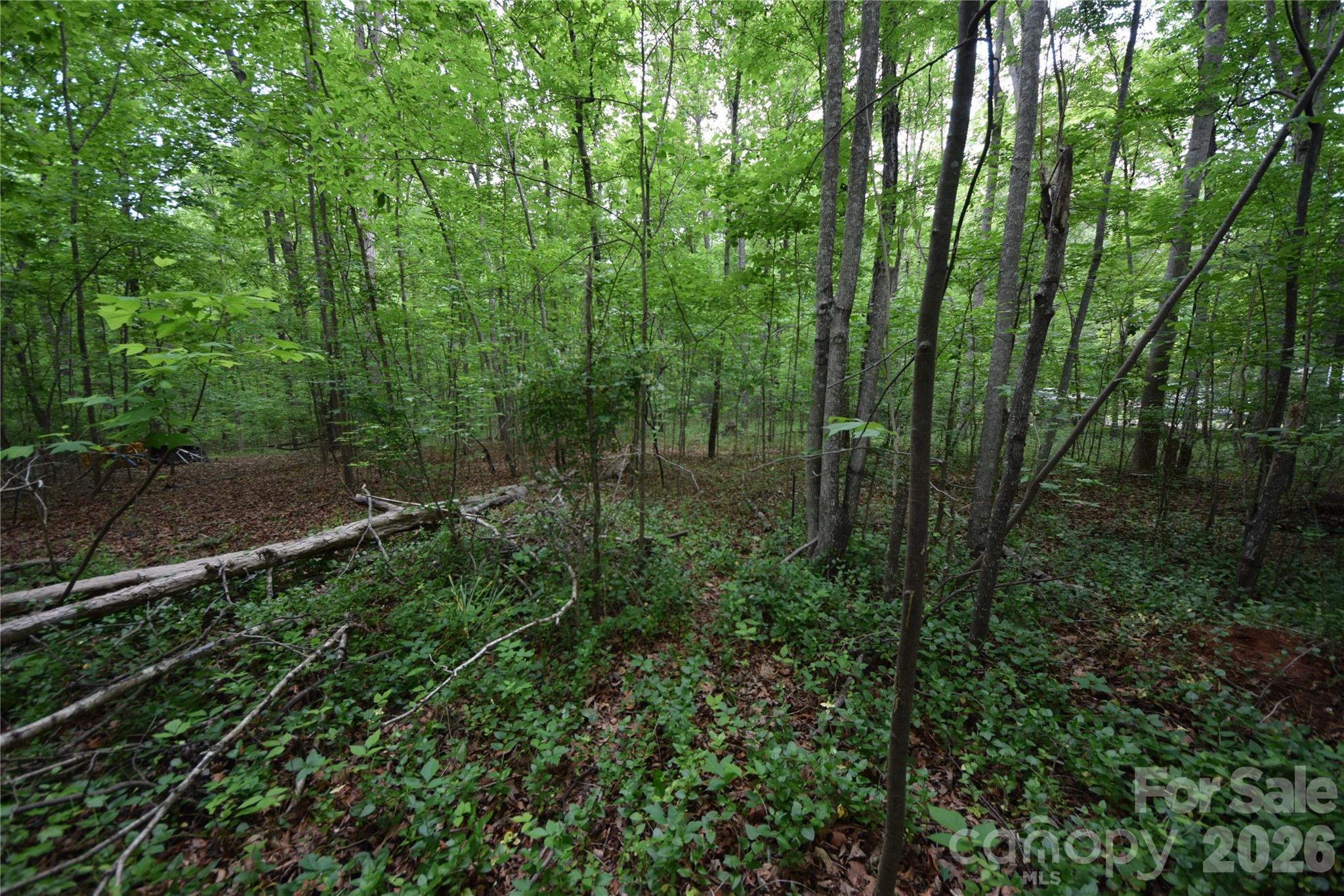 3007 South Paraham Road York, SC 29745 - Photo 19 of 26