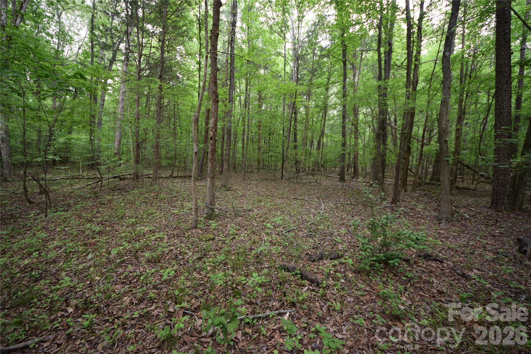 3007 South Paraham Road York, SC 29745 - Photo 23 of 26