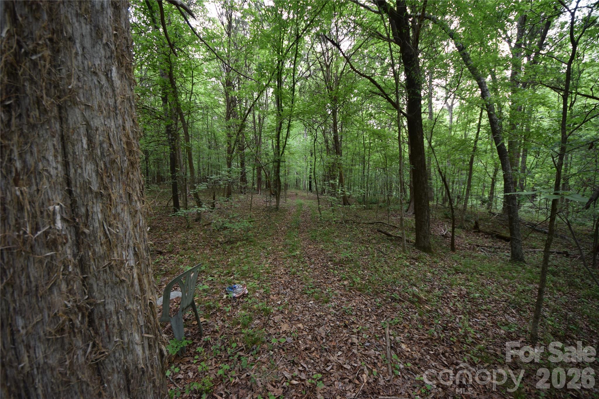 3007 South Paraham Road York, SC 29745 - Photo 25 of 26