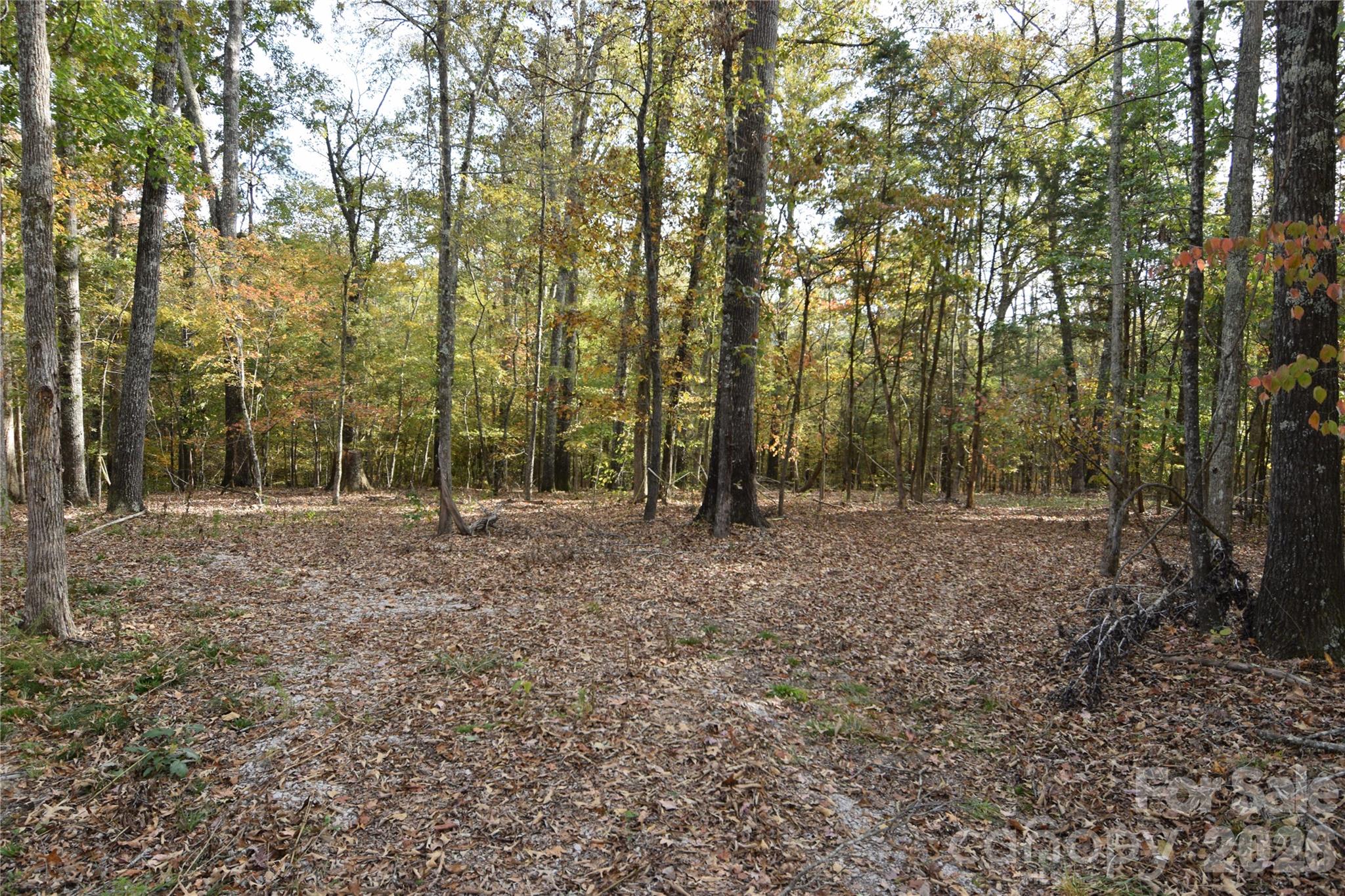 3007 South Paraham Road York, SC 29745 - Photo 26 of 26