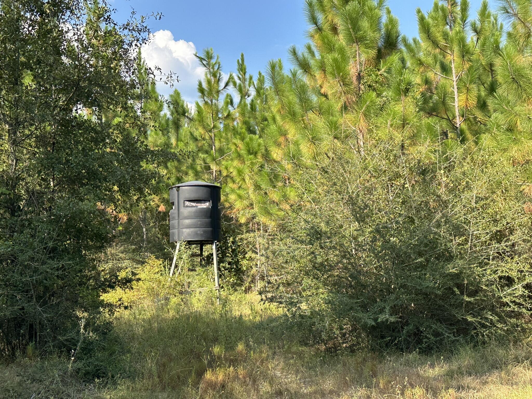 A-e New Ebenezer Road Laurel Hill, FL 32567 - Photo 15 of 29 a backyard of a house with a yard and outdoor seating