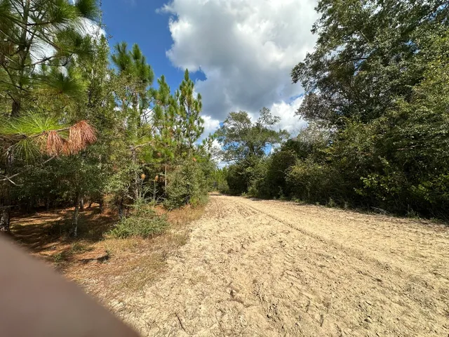 a view of a yard with a tree