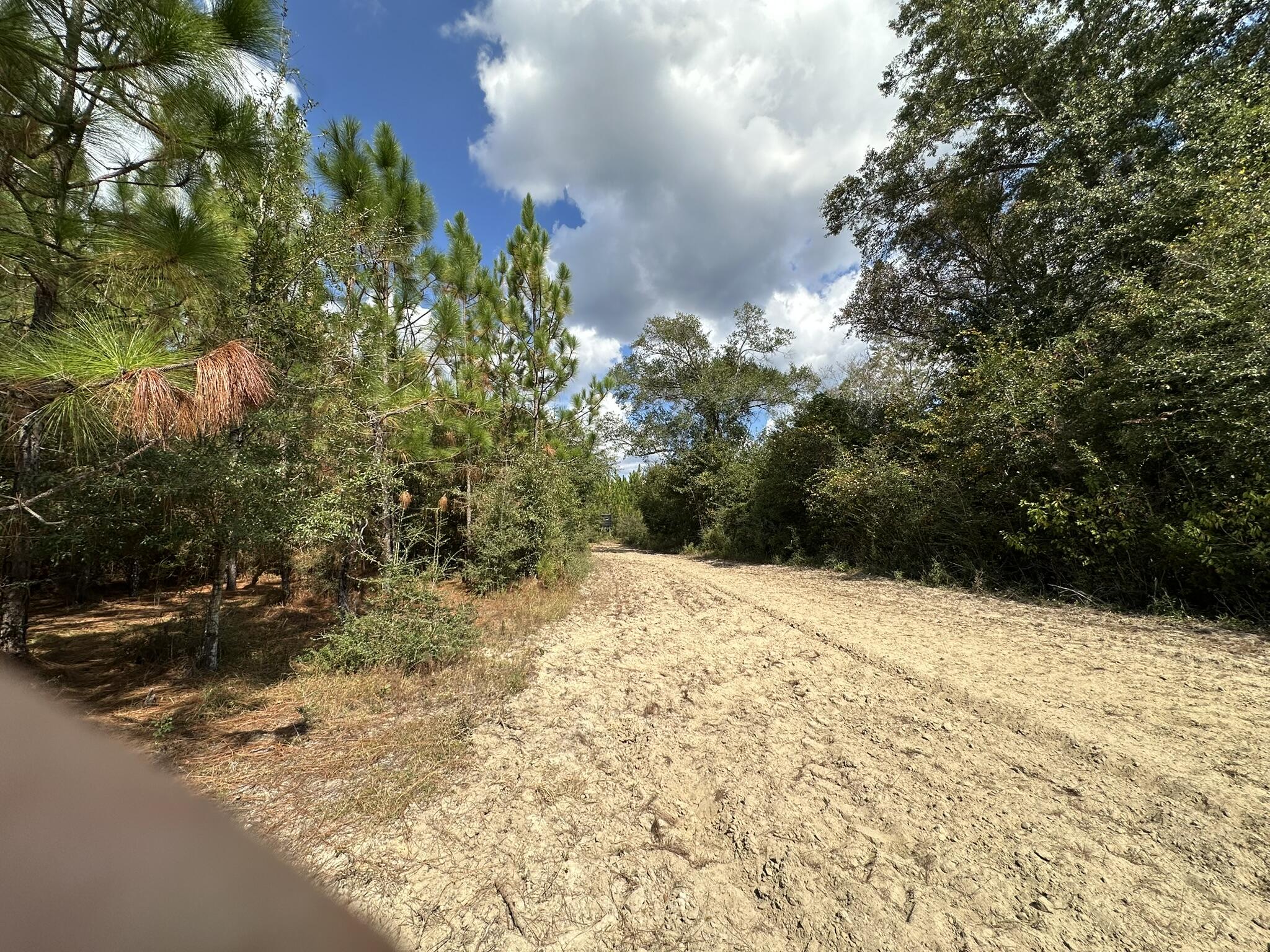 A-e New Ebenezer Road Laurel Hill, FL 32567 - Photo 18 of 29 IMG_3376