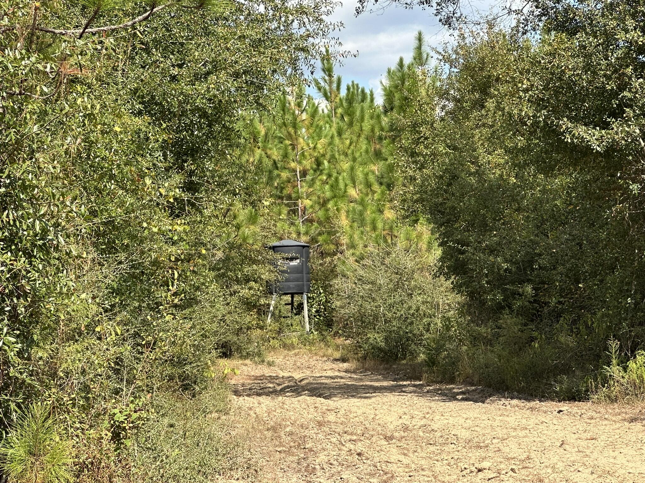 A-e New Ebenezer Road Laurel Hill, FL 32567 - Photo 19 of 29 a view of a yard with an trees