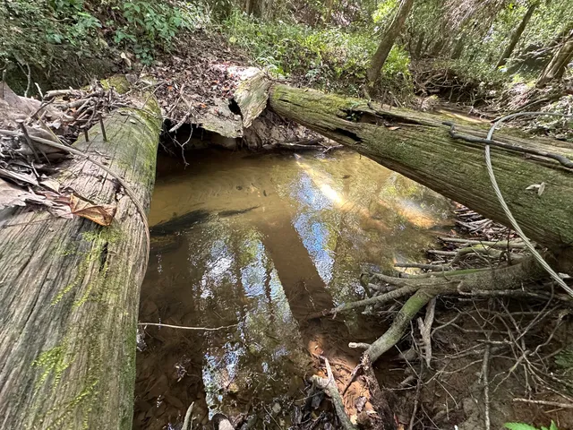 a view of outdoor space with deck and yard