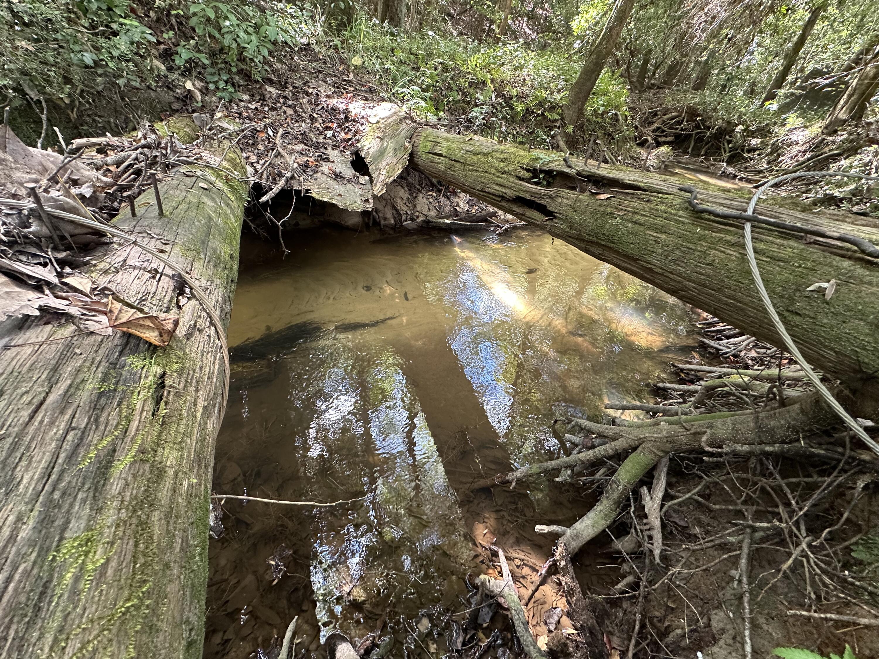 A-e New Ebenezer Road Laurel Hill, FL 32567 - Photo 25 of 29 IMG_3364