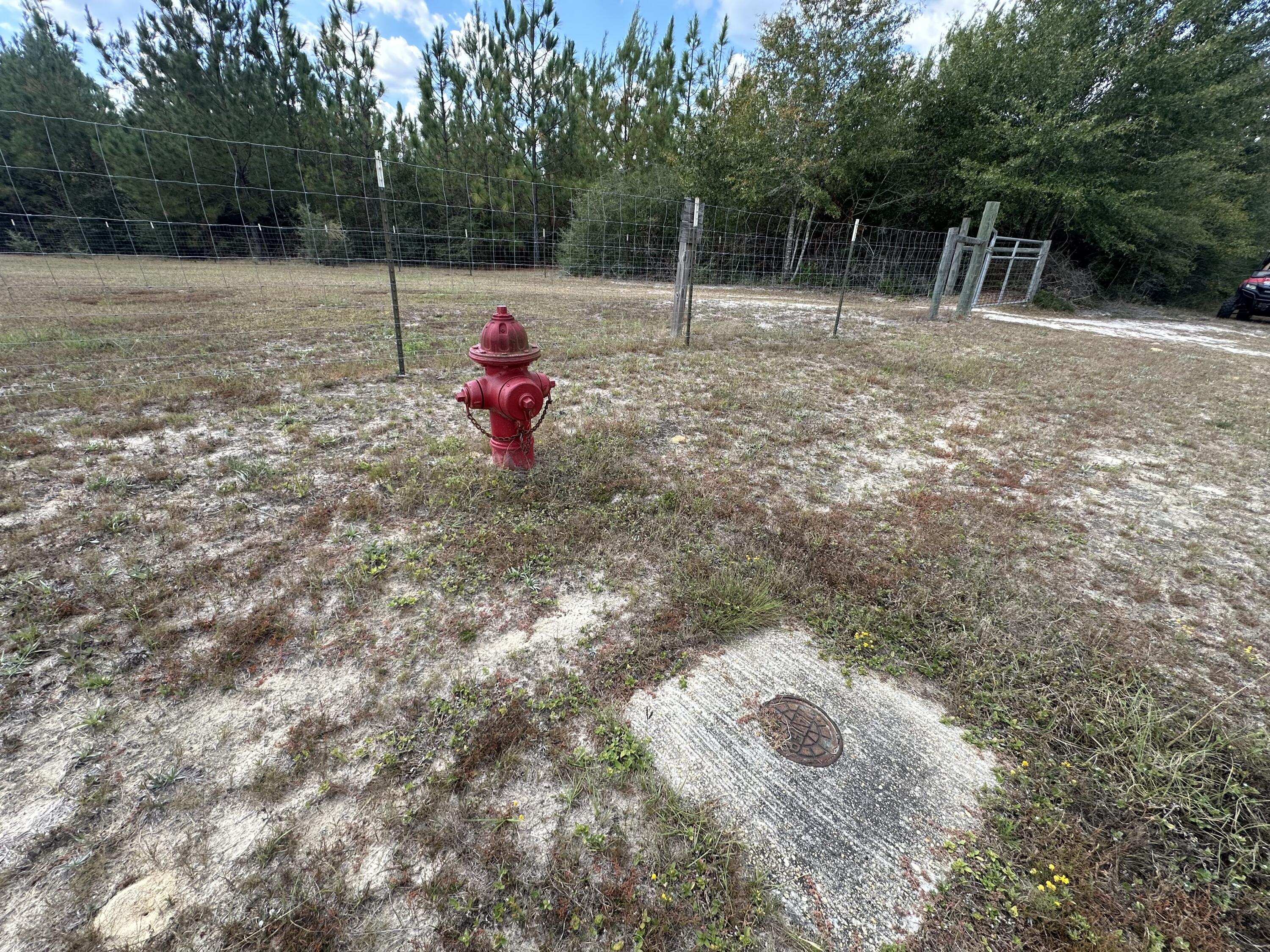 A-e New Ebenezer Road Laurel Hill, FL 32567 - Photo 29 of 29 a view of outdoor space with deck and yard