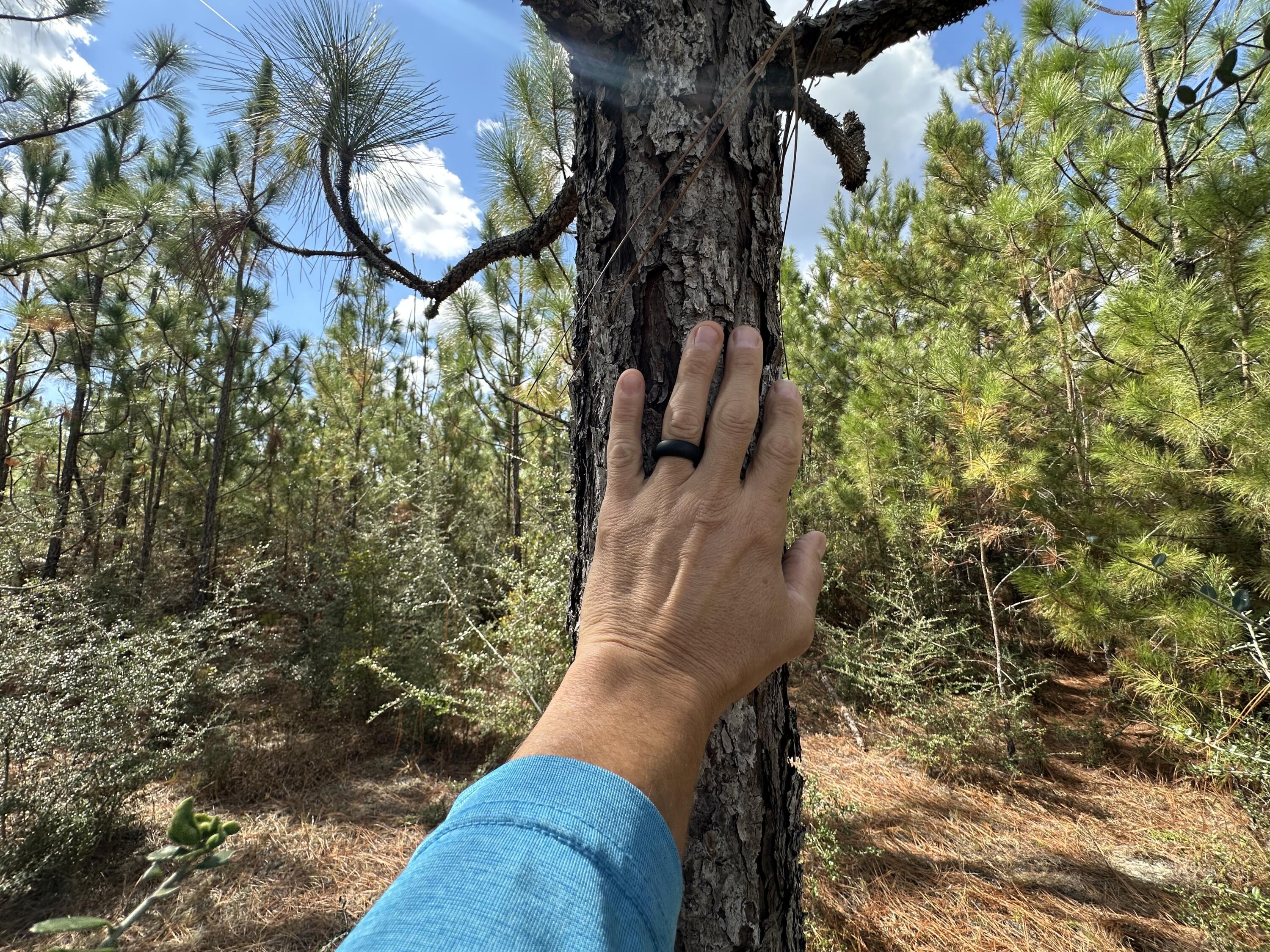 A-e New Ebenezer Road Laurel Hill, FL 32567 - Photo 4 of 29 IMG_3344