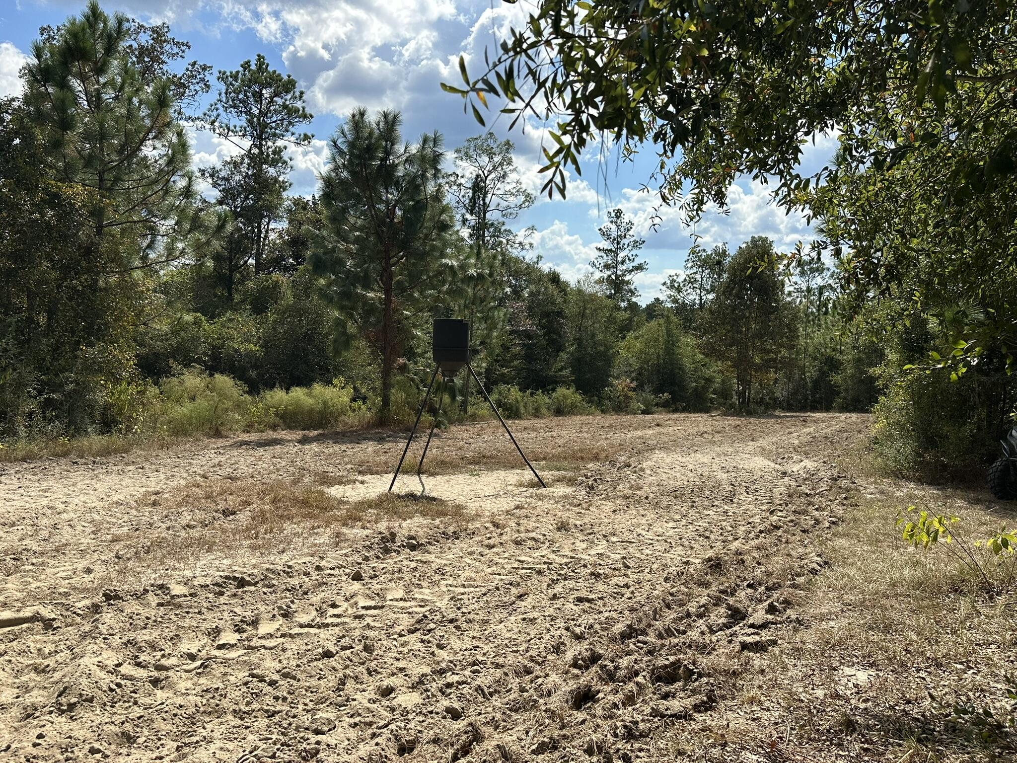 A-e New Ebenezer Road Laurel Hill, FL 32567 - Photo 5 of 29 a backyard of a house with lots of green space
