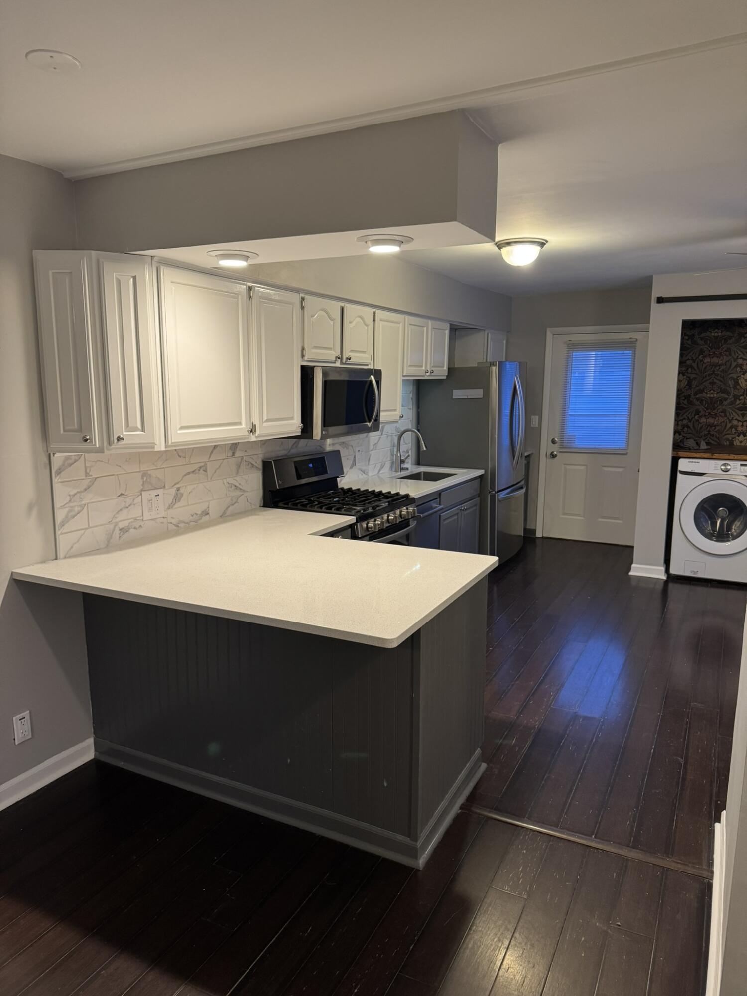 513 Wilkinson Street Chelsea, MI 48118 - Photo 2 of 14 IMG_5398