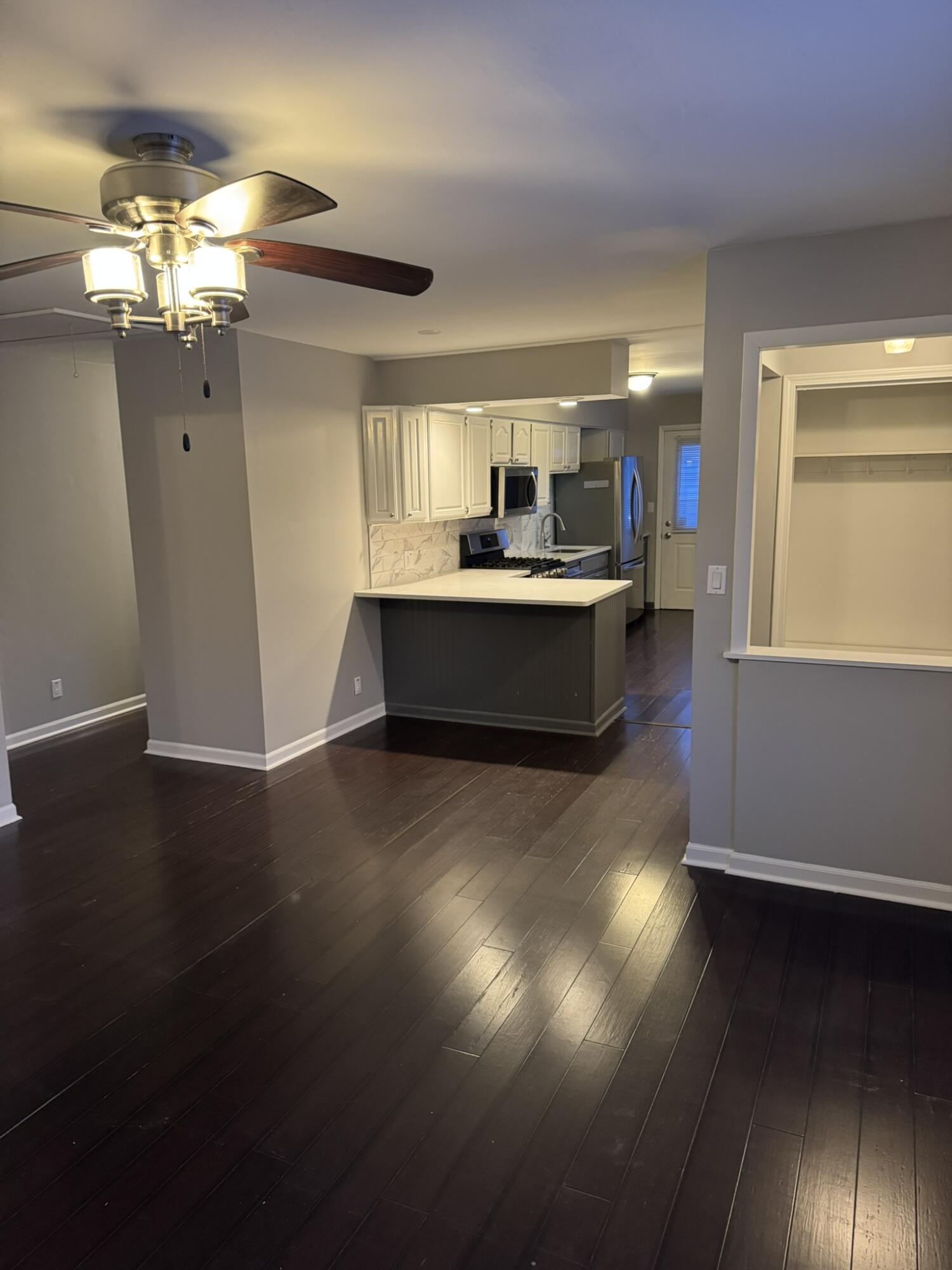 513 Wilkinson Street Chelsea, MI 48118 - Photo 5 of 14 IMG_5397