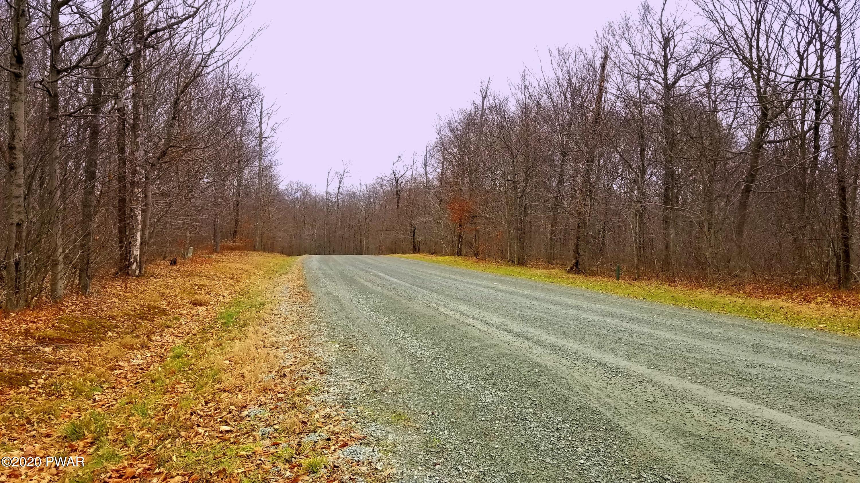Lot 80 Stonegate Road Equinunk, PA 18417 - Photo 47 of 58