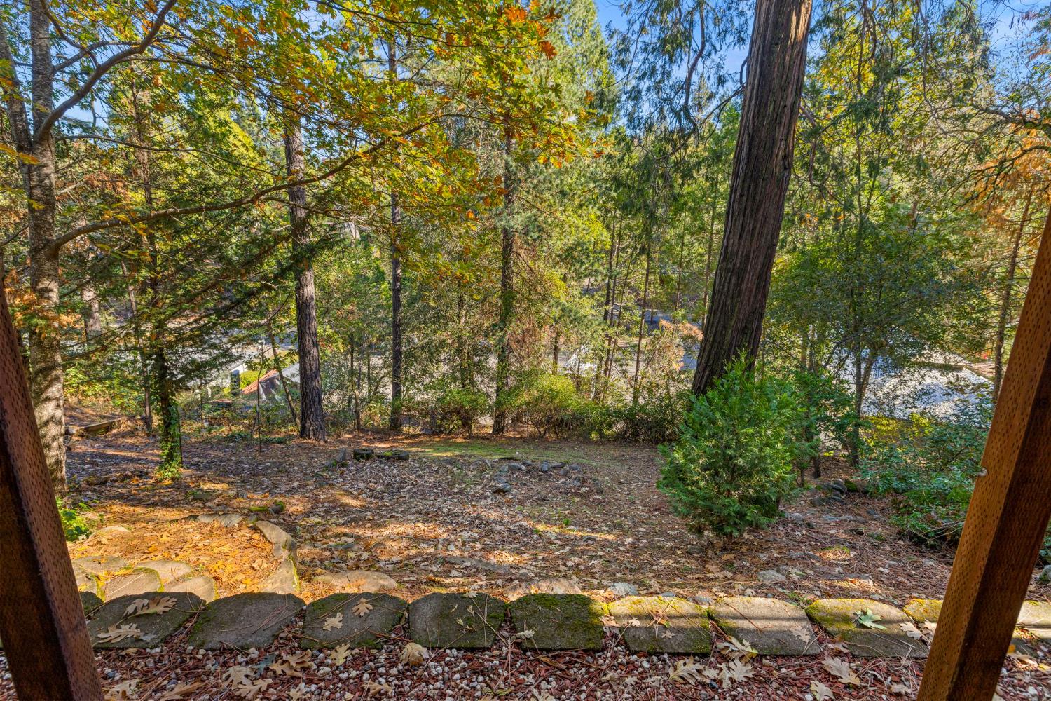 3220 Naomi Way Placerville, CA 95667 - Photo 43 of 57 a view of a yard with large trees
