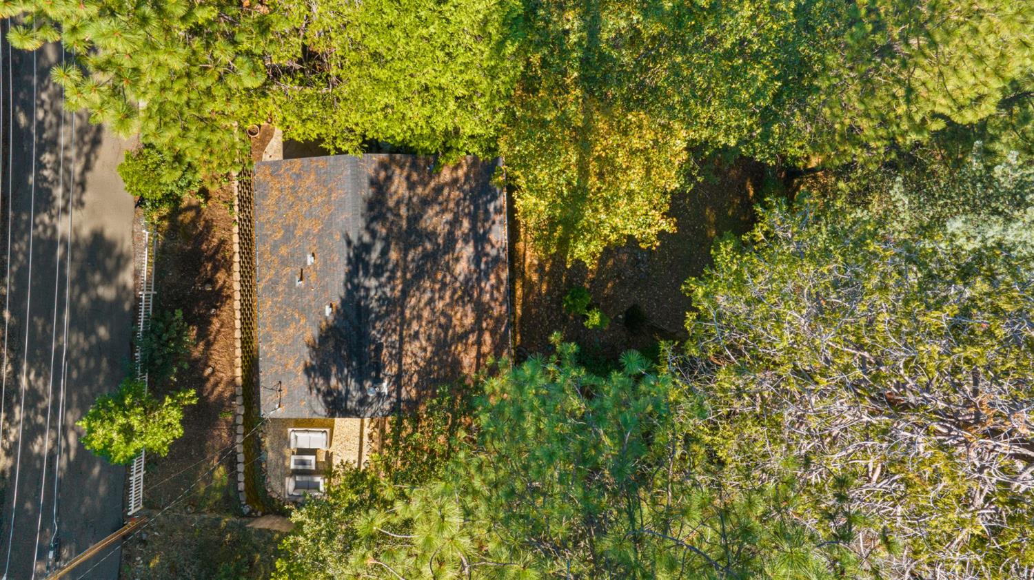 3220 Naomi Way Placerville, CA 95667 - Photo 44 of 57 front view of a house with a tree