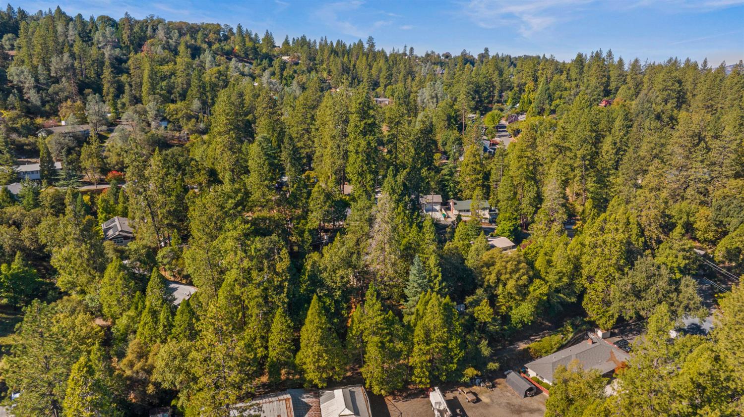 3220 Naomi Way Placerville, CA 95667 - Photo 49 of 57 a view of a city