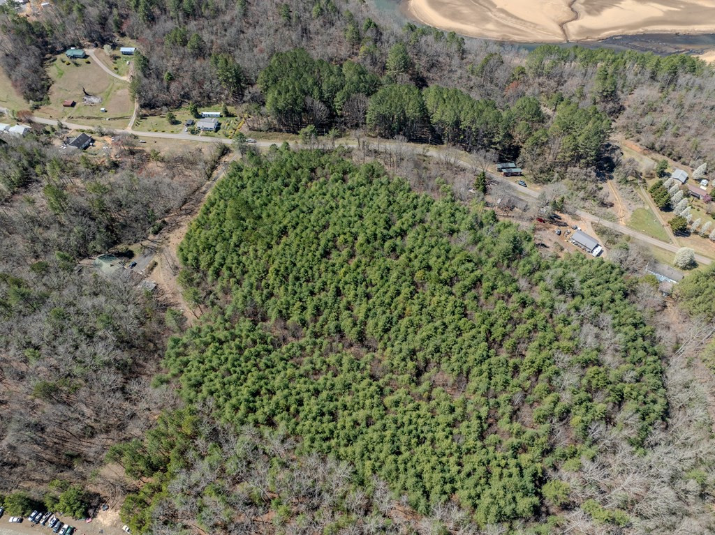 8-acres Old Murphy Road Murphy, NC 28906 - Photo 8 of 10