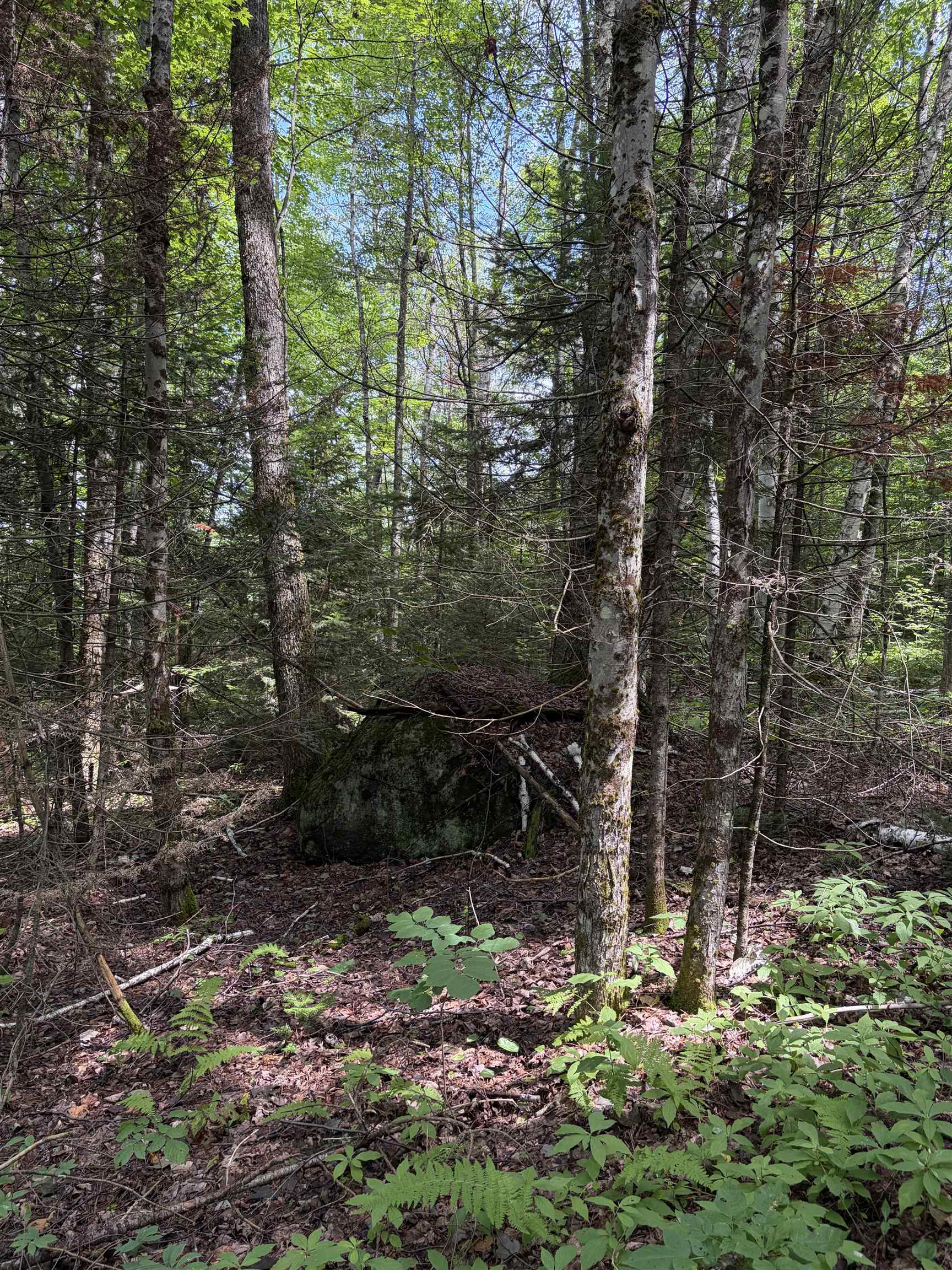 0 Osgood Farm Road Littleton, NH 03561 - Photo 34 of 58 Gallery Image 34