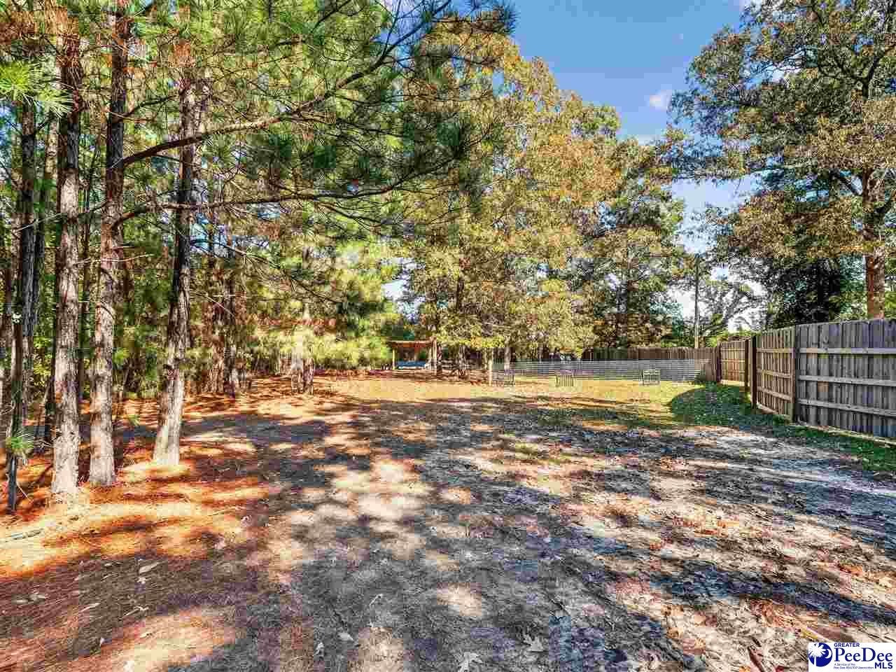 1155 Clyde Road Hartsville, SC 29550 - Photo 53 of 61 Gallery Image 53