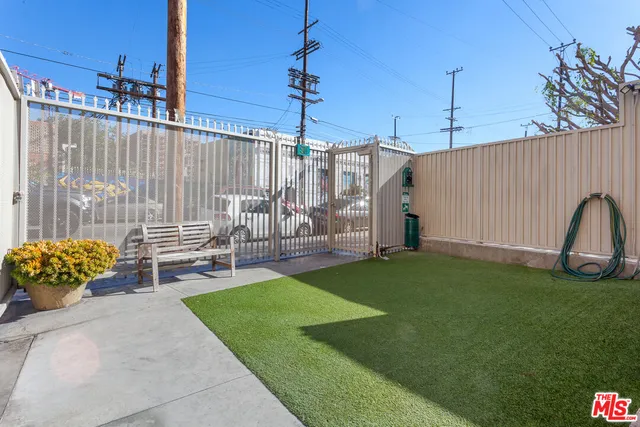 a view of a garden with plants