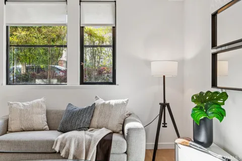 a living room with furniture and a potted plant