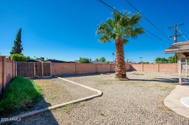 a view of a backyard