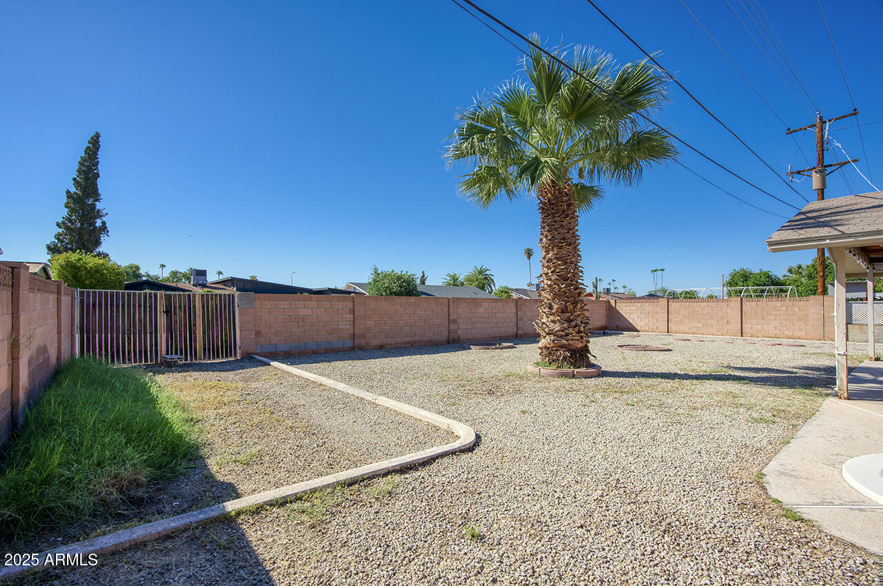 1881 East Concorda Drive Tempe, AZ 85282 - Photo 14 of 15 a view of a backyard