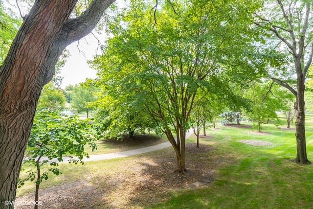 9801 Gross Point Road, Unit 206 Skokie, IL 60076 - Photo 14 of 14
