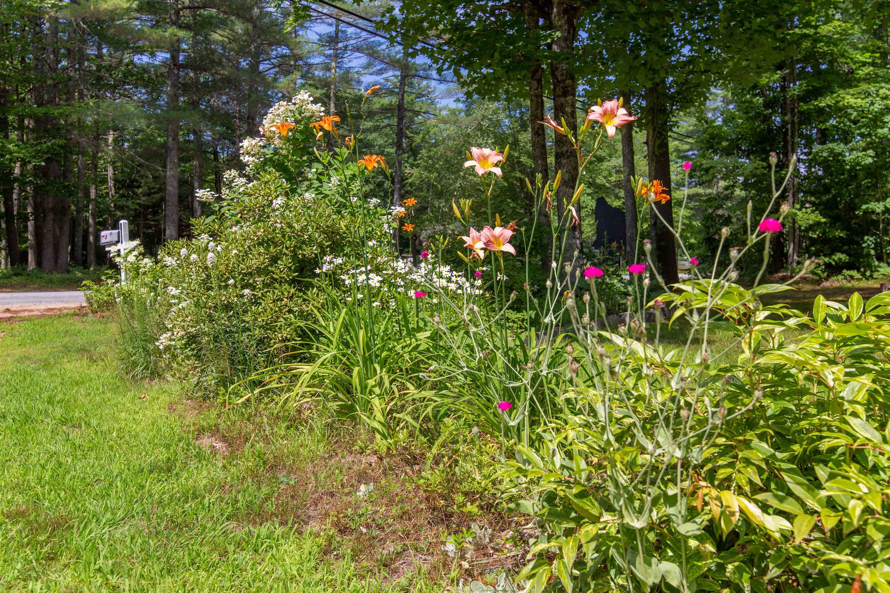409 Depot Road Tamworth, NH 03817 - Photo 3 of 40 Gallery Image 3