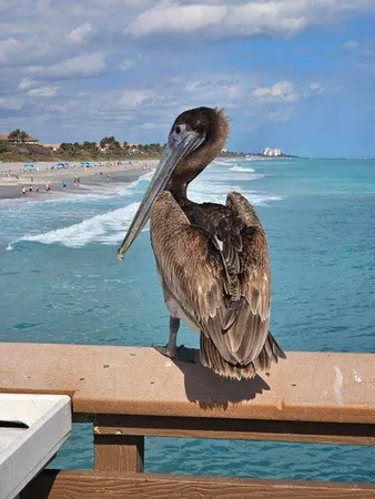 $1,150,000 | 303 Mainsail Circle, Jupiter, FL 33477