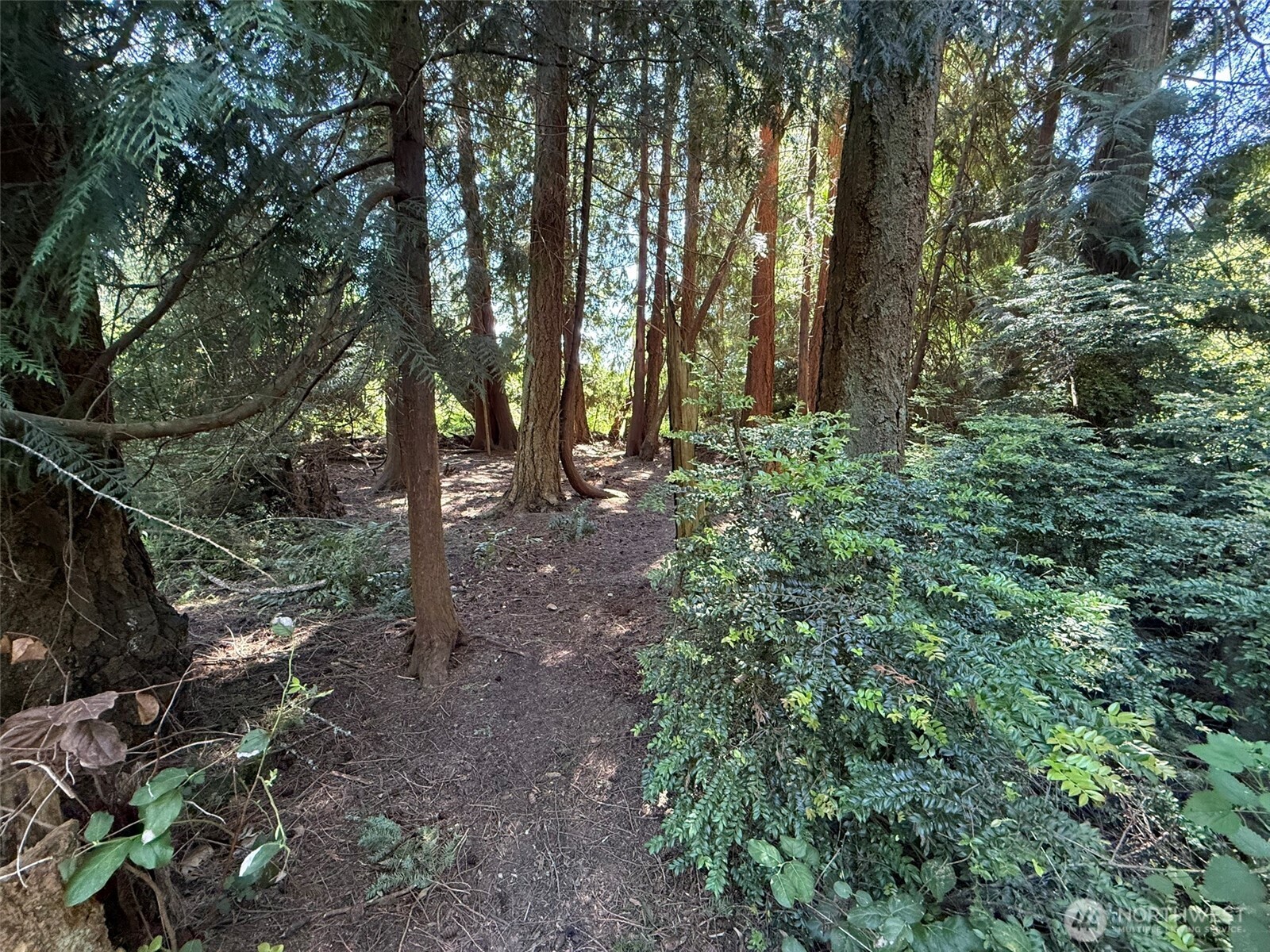 5860 Fish Road Freeland, WA 98249 - Photo 11 of 23 Gallery Image 11