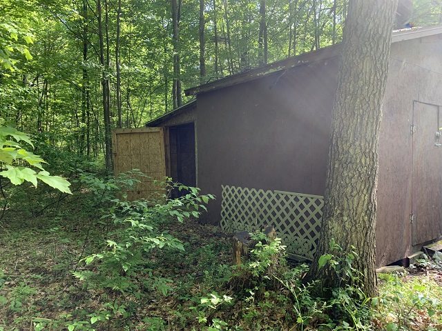 4485 Timber Lane Road Alger, MI 48610 - Photo 22 of 26 1862587-21.JPG