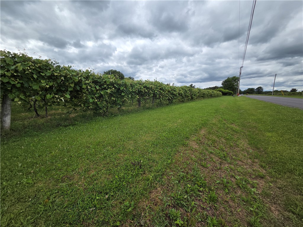 Sutton Road Penn Yan, NY 14527 - Photo 40 of 46 Gallery Image 40