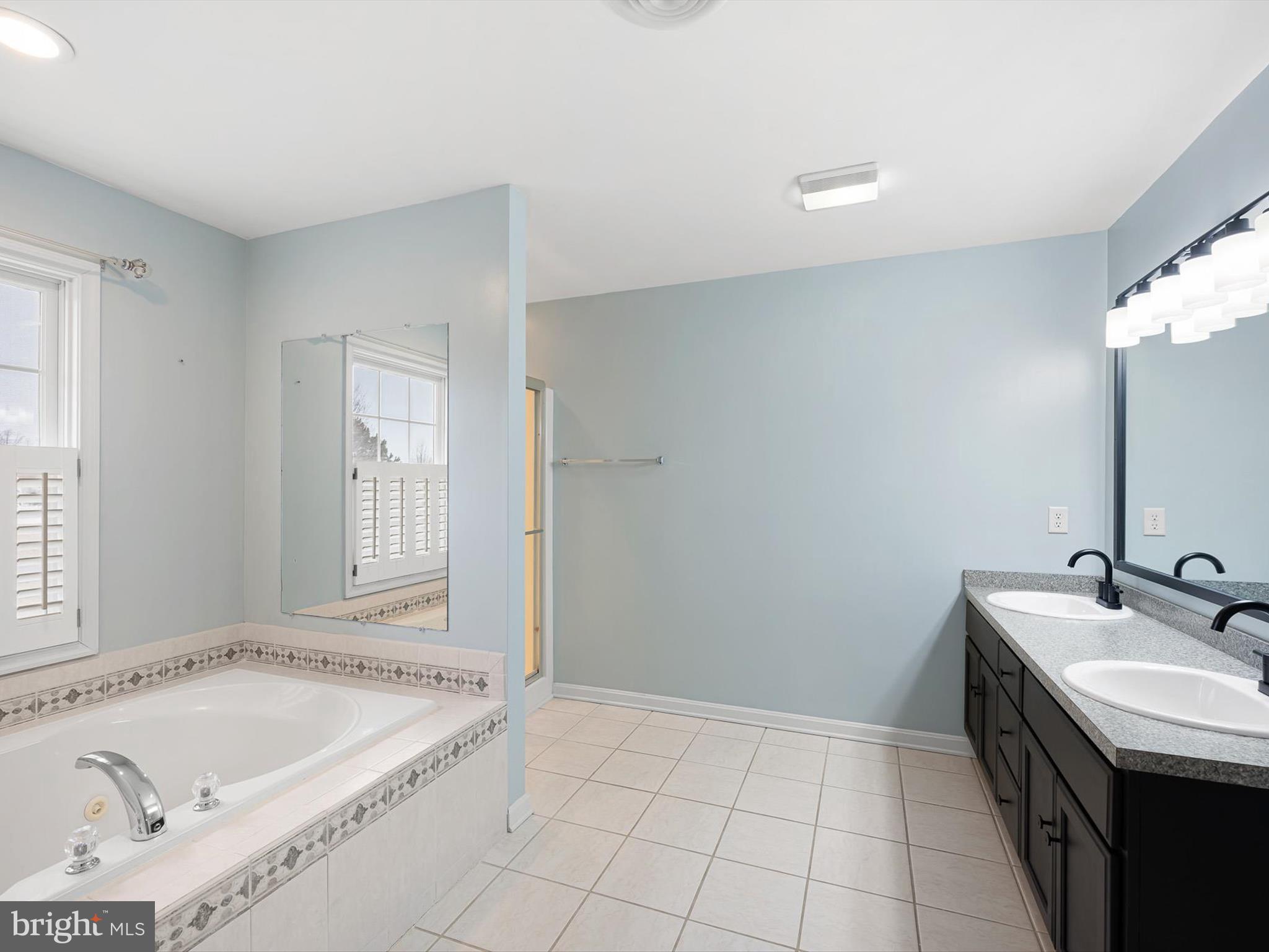 109 Chestnut Ridge Drive Magnolia, DE 19962 - Photo 27 of 44 a bathroom with a tub sink and mirror