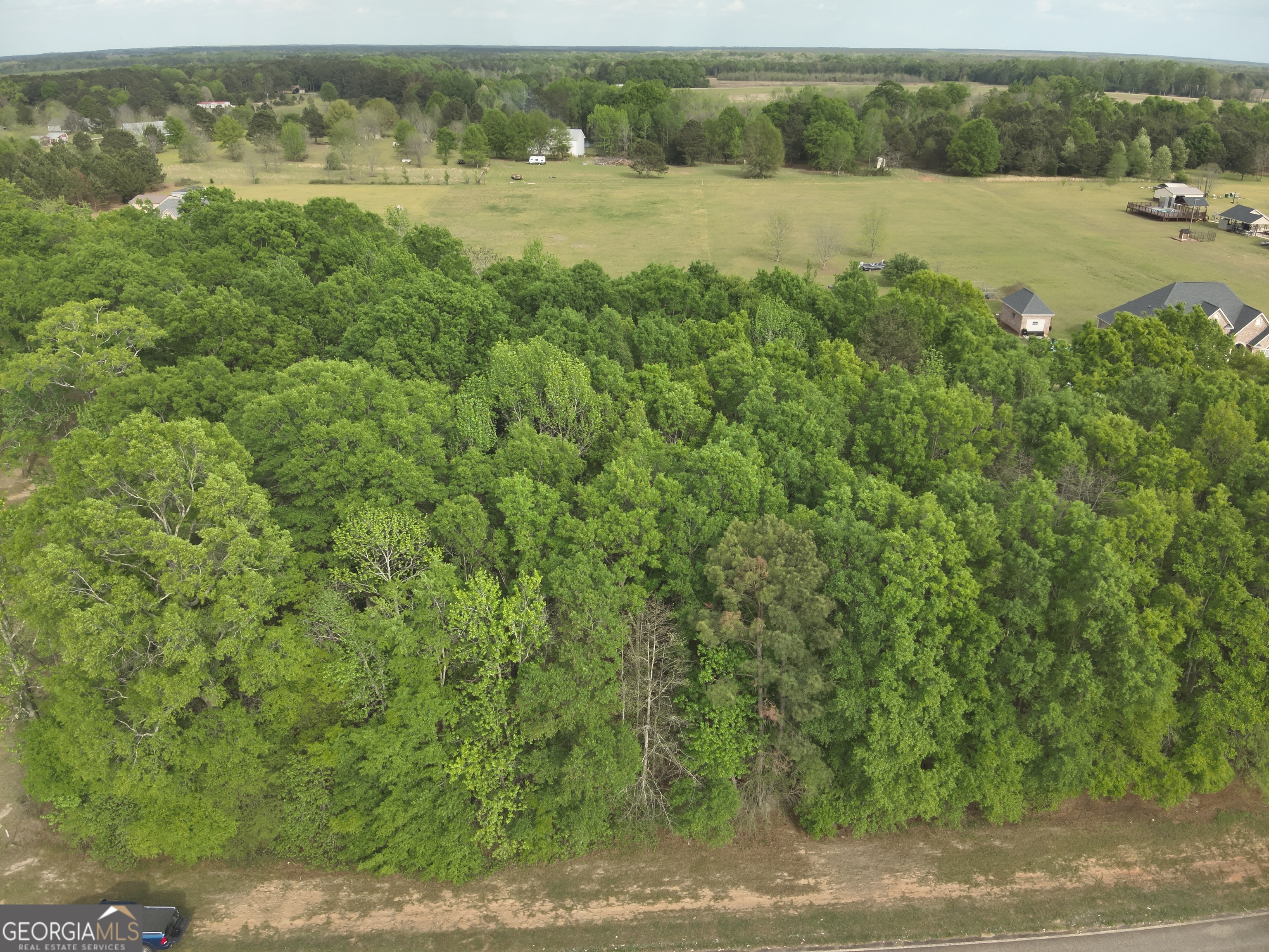 224 Scott Road Elko, GA 31025 - Photo 2 of 7