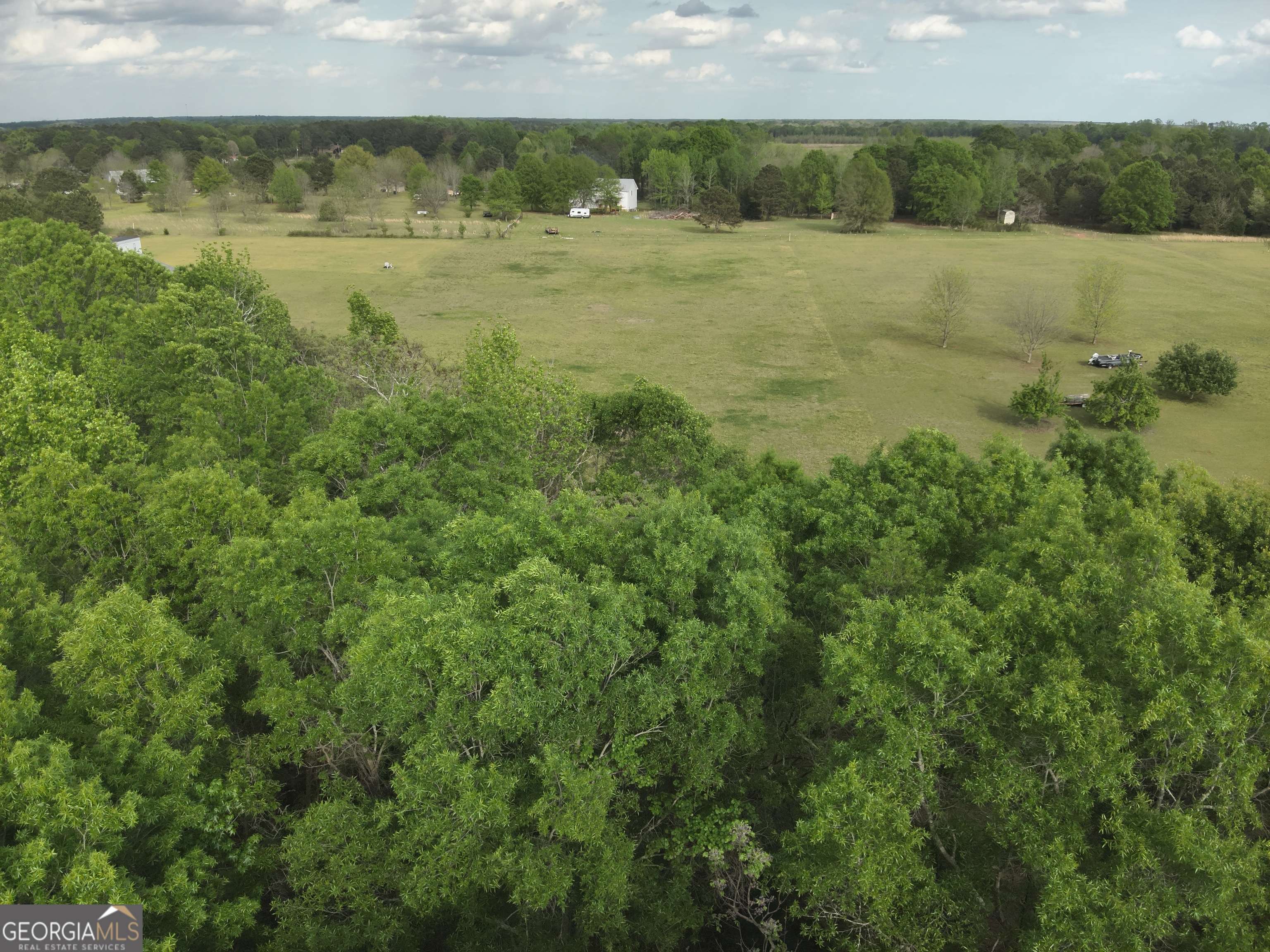 224 Scott Road Elko, GA 31025 - Photo 3 of 7