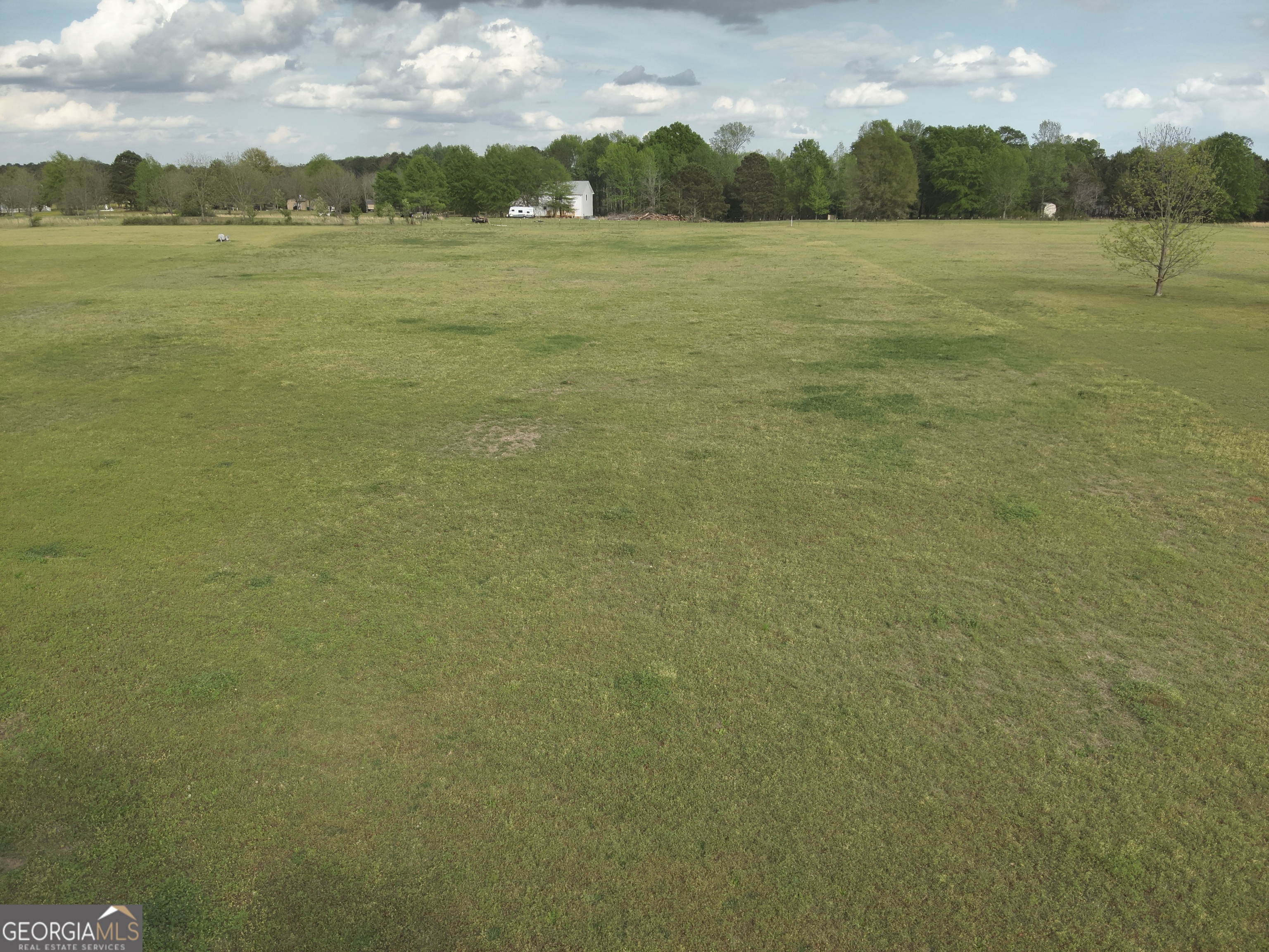 224 Scott Road Elko, GA 31025 - Photo 4 of 7