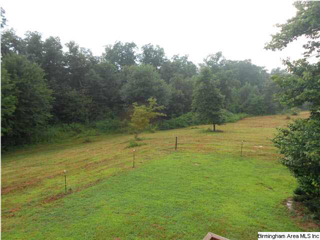 7015 Co Highway 24 Oneonta, AL 35121 - Photo 18 of 30