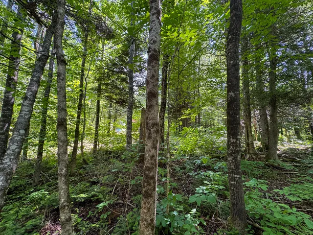 $130,000 | 176 Front Ridge Road, Houlton, ME 04730