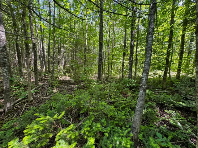 $130,000 | 176 Front Ridge Road, Houlton, ME 04730