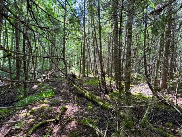 $130,000 | 176 Front Ridge Road, Houlton, ME 04730