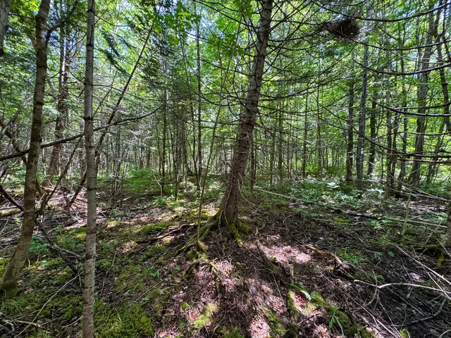 $130,000 | 176 Front Ridge Road, Houlton, ME 04730