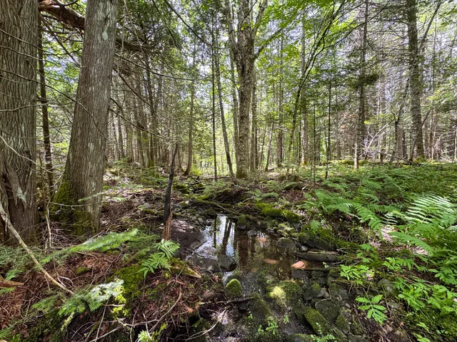 $130,000 | 176 Front Ridge Road, Houlton, ME 04730