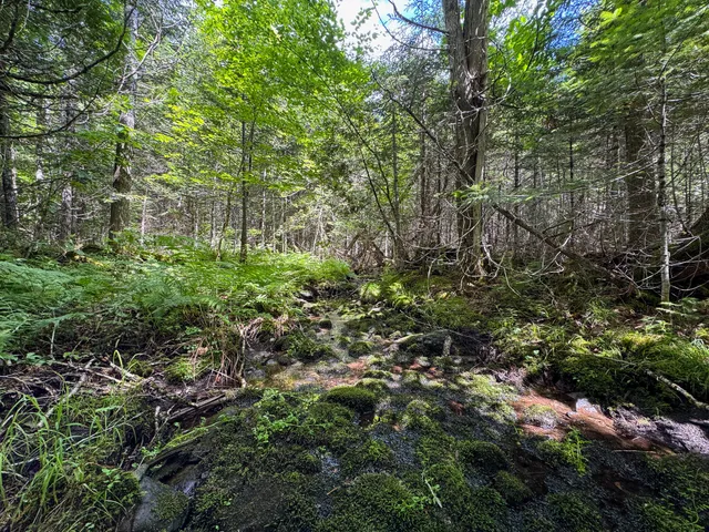 $130,000 | 176 Front Ridge Road, Houlton, ME 04730