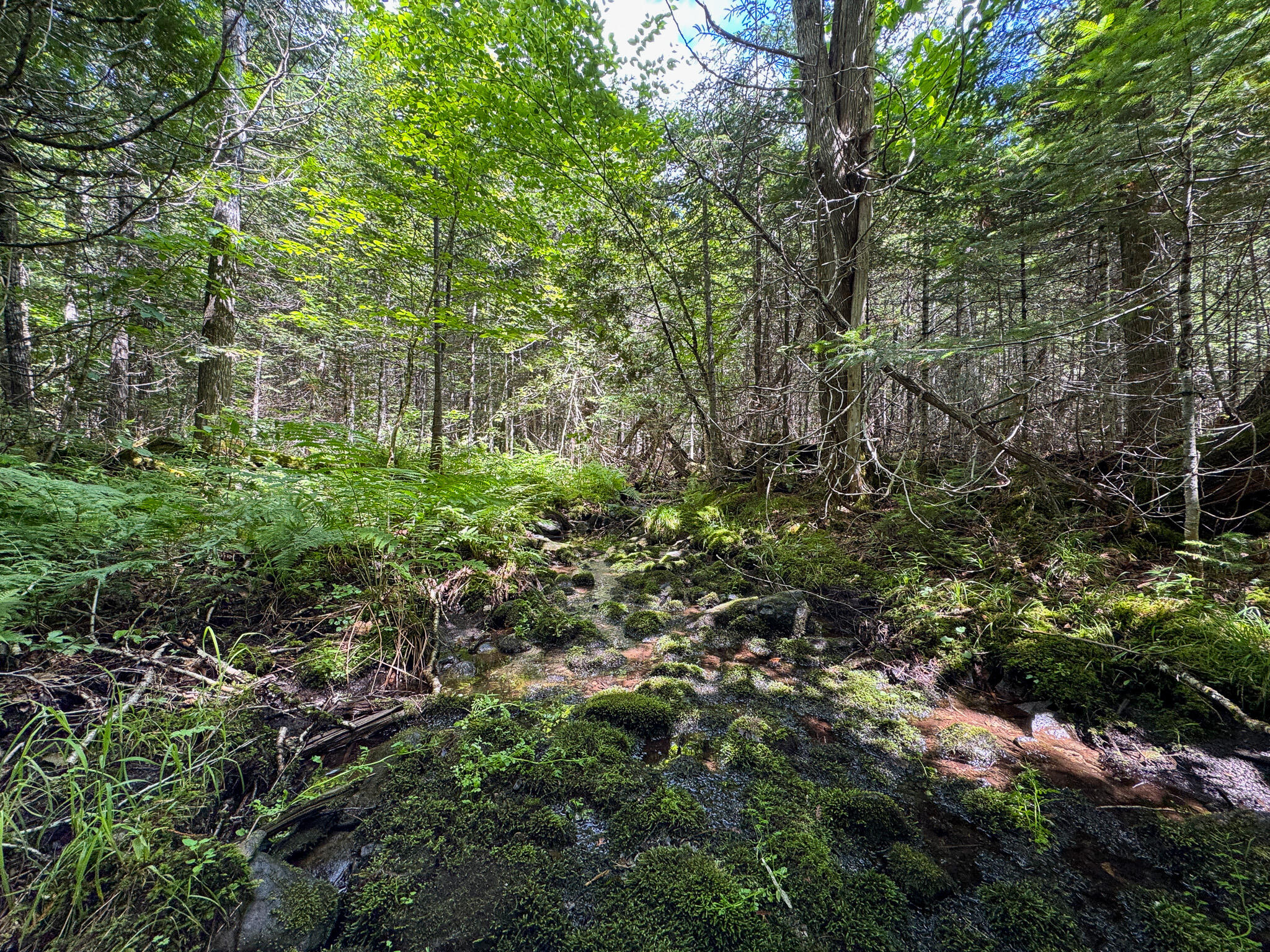 176 Front Ridge Road Houlton, ME 04730 - Photo 20 of 28 IMG_5679