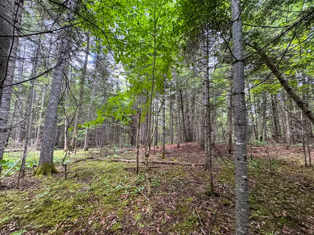 $130,000 | 176 Front Ridge Road, Houlton, ME 04730