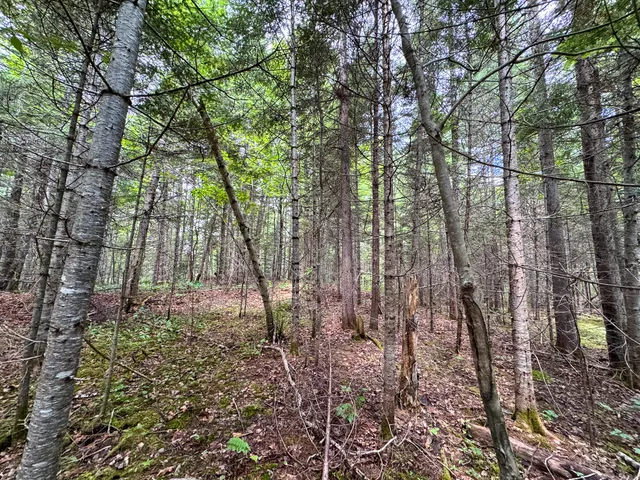 $130,000 | 176 Front Ridge Road, Houlton, ME 04730