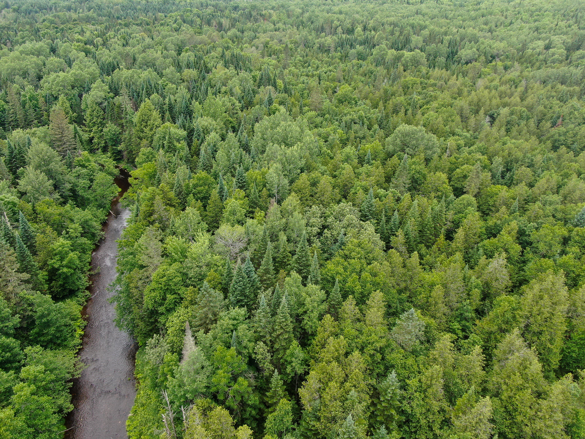 176 Front Ridge Road Houlton, ME 04730 - Photo 24 of 28 DJI_0920